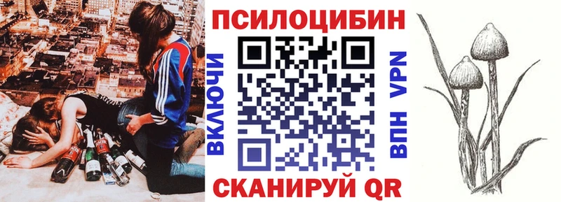 Псилоцибиновые грибы Psilocybe  продажа наркотиков  Михайловка 