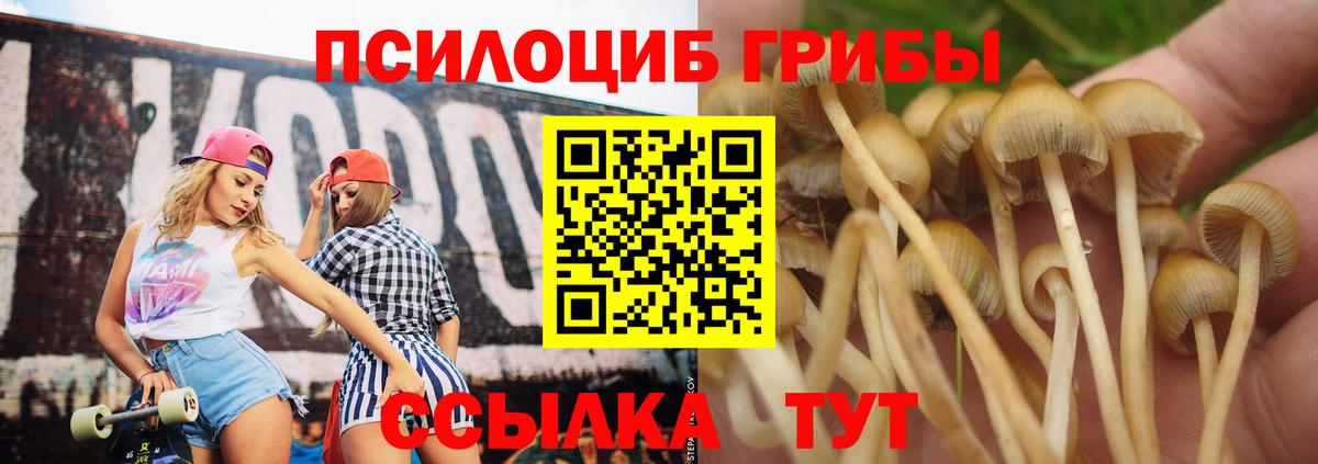 Галлюциногенные грибы Cubensis  Вход с VPN  Псилоцибиновые грибы Magic Shrooms  Михайловка 